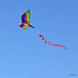 Accessoires de cerf-volant arc-en-ciel, poignée de cerf-volant de plage, manche à vent, cerf-volant réaliste, grand perroquet 3D, jeu de vol familial pour enfants débutants