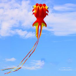 Accessoires de cerf-volant Nylon résistant à la déchirure 8 M Grand poisson rouge Animal Doux Cerf-volant Gonflable 3D Ligne de cerf-volant Usine Livraison gratuite Sports de plein air 230603