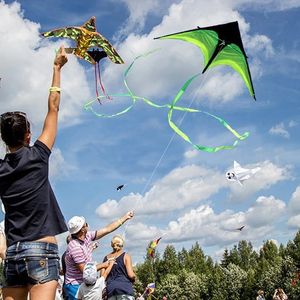 Vliegers Tails met handvat buitenspeelgoed voor kinderen vliegers nylon ripstop albatross kite 240407