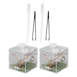 Kits Insectentank Plastic container Spinbehuizing Acryl Slak Dierenkoffer Kweekbox Reptielen Springterrarium