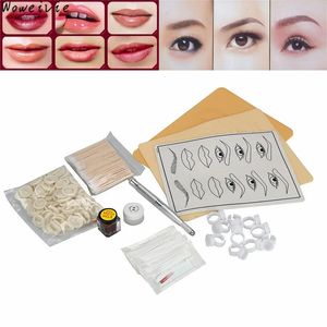 Kits en gros de haute qualité Microblading sourcil lèvre tatouage Pigment stylo manuel pratique aiguilles de peau Kit livraison gratuite