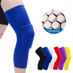 Genouillères Basketball Volleyball Nid d'abeille Longue Compression Jambe Manches Sports Hommes Élastique Soutien Brace
