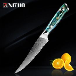 Cuchillos Xituo Damasco Steel Fruit Knife 67LAYERS Japones VG10 Cambio de cocina Profesional Parecería Herramienta de cuchillo de carne Abalona