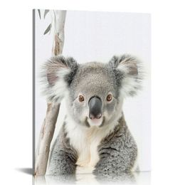Koala Animal Printrait portrait