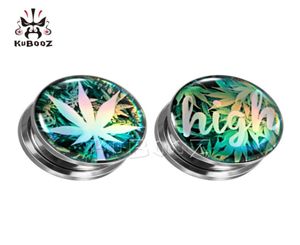 KUBOOZ Stainless Steel Green Leaves HIGH Ear Plugs Tunnels Piercing Body Jewelry Earring Gauges Stretchers Expanders Whole 6mm5567642