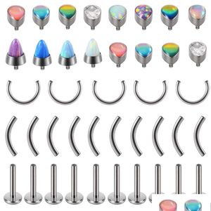 Bijoux de perçage de lèvres Labret Labret 24pcs 16G G23 Top de goutte pour les composants de la barre des sourcils Horseshoe