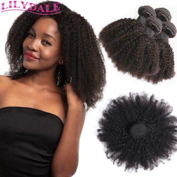 Lace Afro Kinky Curly Hair Weave 1-4 Bundles Deal Hair 100% cabello humano 8-20 pulgadas Color natural Hair Venta al por mayor Lilydale 230724