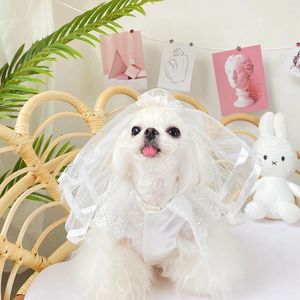Lace Bowknot Dress Wedding Wedding Clothing Decoración de ropa Teddy Yorkshire Chihuahua Puppy White Wedding Wedding Velo Accesorios para perros 231226