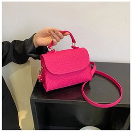 Damen Taschen Trend Handtaschen Retro Designer Luxus Quadratische Umhängetaschen Weibliche Tote Schulter Handtaschen für Frauen 240109