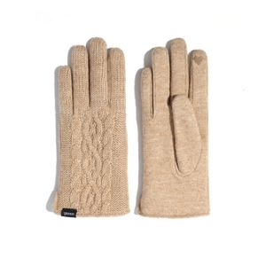 Cabalde de damas Guantes de guantes táctiles Táctil Invierno al aire libre de lana de punto fría al aire libre más terciopelo acolchado 231221