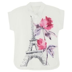 Dames Zomer Mode Vrouwen Turn Down Collar Korte Mouwen Kunst Floral Print Chiffon Shirts Vrouwelijke Casual Tops Shirt 210428