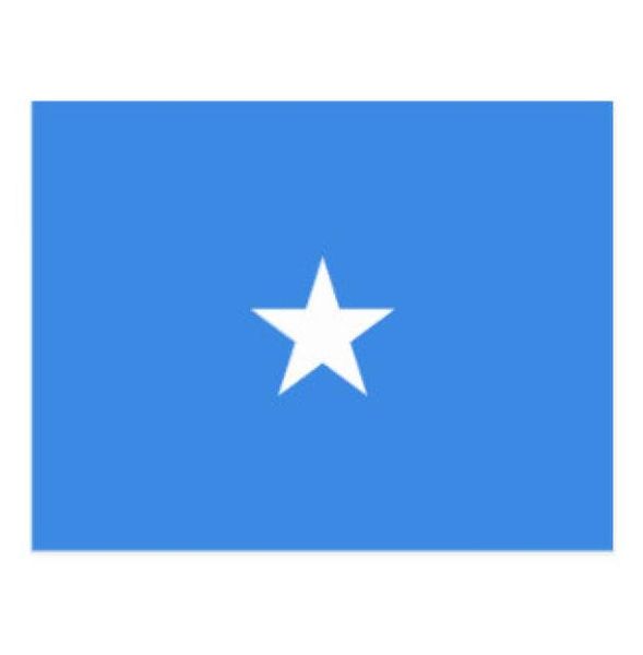 LAG OF SOMALI National Flag Country Flag Bannines intérieurs Sports en plein air Show Wedding Staged Flag Pennants Multicolor5028542