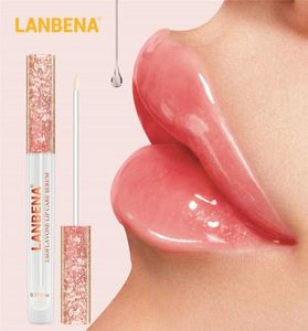 Lanbena Big Lips Prumper Hydratant Lève brillant de longue durée nutritive lèvre sexy transparent transparent transparent.