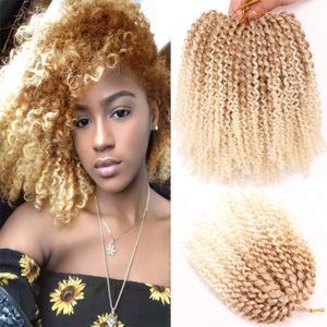 8 Inch Korte Marlybob Gehaakte Vlechten Haarverlenging Synthetische Ombre Vlechten Extensions Kleine Afro Kinky Krullend Twist Vlecht Haar LS05