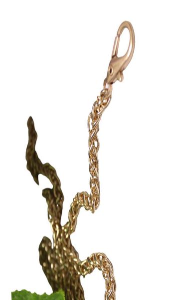 Lanterne Chain Sac à bandoulière Remplacement des femmes 40120 cm Femme sac à main chaîne de bourse à bandoulière Gold Silver Accessoires pour sac4918339