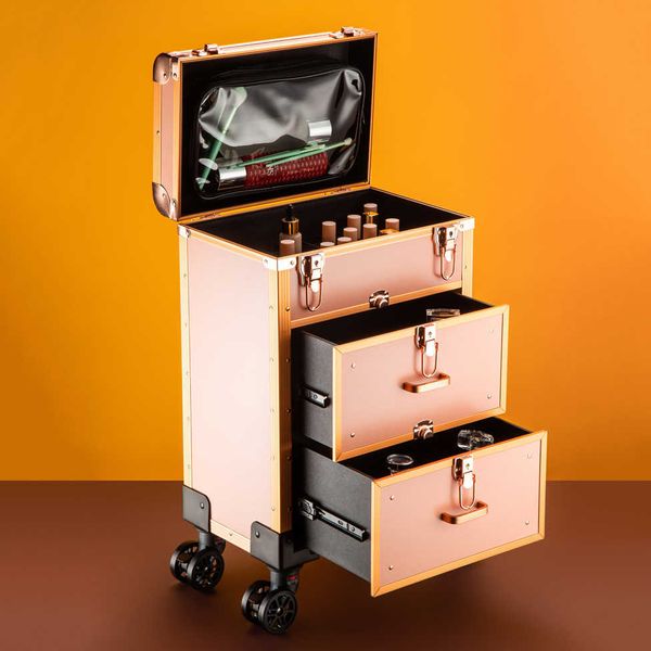 Chariot de grande capacité maquillage boîte à bagages cosmétique valise artiste spécial beauté tatouage broderie manucure boîte à outils