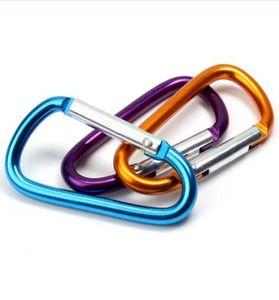 Grand carabiner keyrings kele chaîne extérieur camp de sports de sport clip snap hook kechains randonnée en aluminium en métal en acier inoxydable randonnée Campi8549237