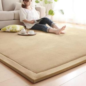 Grand tapis Chenille en molleton de corail, 120 200, 2CM, Table Tatami manuelle, pour chambre à coucher, rectangulaire, pour salon, 2CM d'épaisseur, 238s