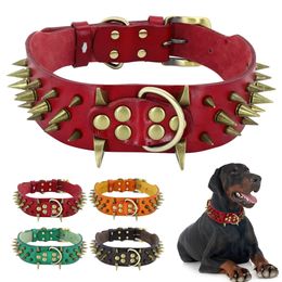 Grand collier de chien pics de colliers cloutés 2 larges pitbull en cuir allemand berger gros chiens fournitures l xl 240418