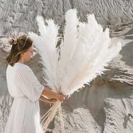 Grande pampas 110120 cm Grass Fluffy Tall Fleur séchée naturelle pour décoration de mariage à la maison Décoration Gift Arrangement de cadeaux 240308 Ation