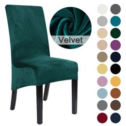 Housse de chaise extensible en velours de grande taille, 22 couleurs, en peluche, XL, à dossier haut, longue, pour salle à manger, 210724185e