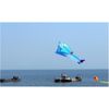 Grand Kite Soft Dolphin Cerfeuf Extérieur Jouets Flying Ripstop Nylon Tissu Cerf Volant Volant Poisson Single Line Kite Power Y0616