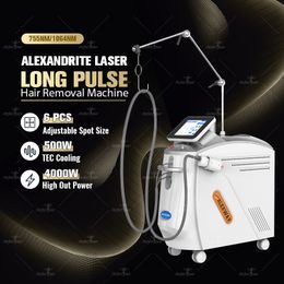Épilation au laser Alexandrite ND YAG Laser Machine de beauté laser 4000W Épilateur indolore TEC refroidissement cutané rajeunissement