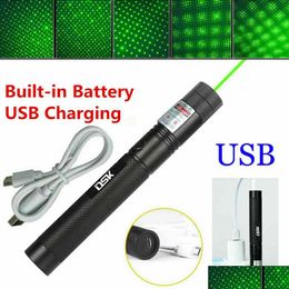 Pointeurs Laser 200Mile Usb Rechargeable Green Pointer Astronomy 532Nm Grande Lazer Pen 2In1 Star Cap Beam Light Builtin Battery Pet Dhyat