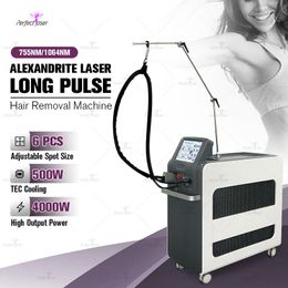 Dernier 755nm Alexandrite Laser Épilation des cheveux Long Pulse 1064 NM ND YAG ALEXER LAZER RÉDUCTION DE LA MACHE DE BEAUTÉE Machine de beauté Personnalisation TEC Équipement de refroidissement