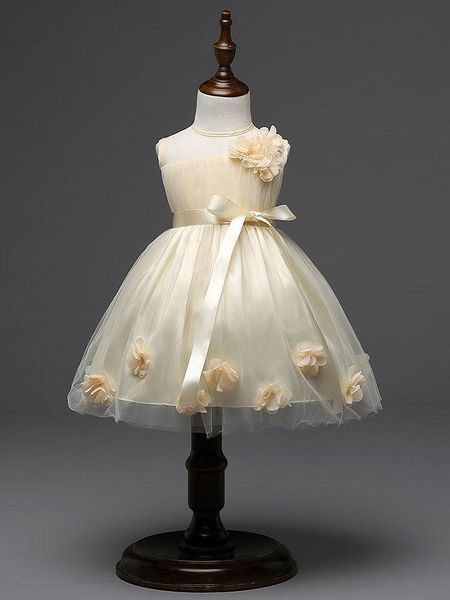 Dernière conception fleur filles robe de mariée 3D rose bébé fille tutu jupes enfants fille fil de fête tulle organza robes enfants robe de bal