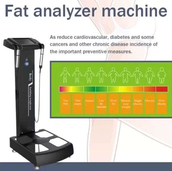 Dernier instrument de beauté à la maison Analyseur de composition de graisse corporelle Poids santé Échelle d'IMC machine d'analyse de composition d'éléments musculaires