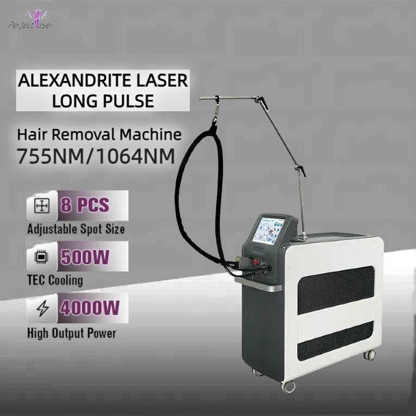 Machine d'épilation permanente au Laser Nd Yag à impulsion longue, équipement d'élimination de la pigmentation au Laser Alexandrite, dernière version