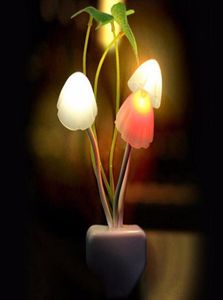 Dernières nouvelles de l'Union européenne et des soirées américaines Capteur luminescent USA 110V 220 Volt 3 LED LED LED de nuit de champignon coloré 6885482