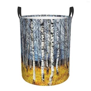 Sacs à linge Panier imprimé forêt de bouleaux avec poignée durable Panier organisateur circulaire étanche pour salle de bain