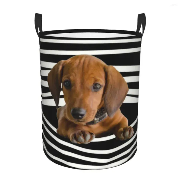 Bolsas de lavandería Dachshund Stripes Basket Plegable Weiner Weiner Ropa para perros Toyadores Organizador Bins de almacenamiento