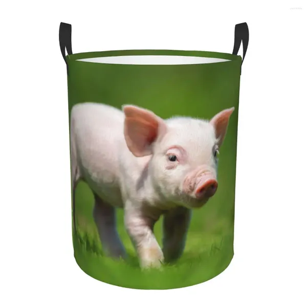 Sacs à linge Panier de pliage cochon mignon sur l'herbe Round Rangement Bin Grand panier Organisateur de seau de jouets à vêtements pliables