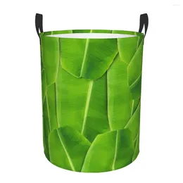 Sacs à linge Panier pliant Panier vert Banana Leaf rond randonnée Bin Grand Hamper Organisateur de seau de jouets à vêtements pliables