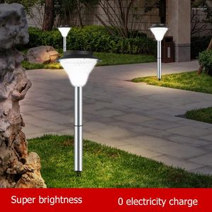 Gazon Zonne-verlichting Eigentijdse buitenvloerlamp LED Waterdicht IP65 Decoratief voor binnenplaats Parktuin