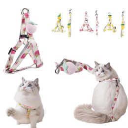 Harnais anti-évasion pour chat, collier en forme de fruit pour animaux de compagnie, accessoires de tente, harnais anti-évasion pour chien, laisse pour chat, forme mignonne