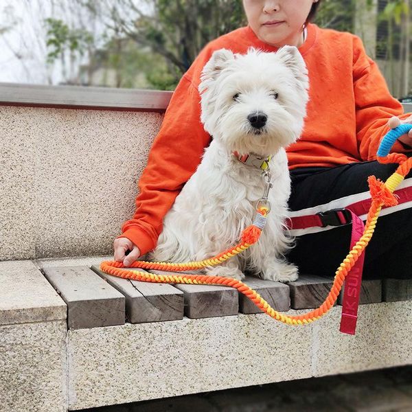 KANGFEILE Laisses pour Chiens Tissées à la Main Laisses en Fil de Coton colorées pour Petits Chiens Entraînement pour Animaux de Compagnie Courir Marcher à l'extérieur Cordes pour Chiens