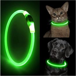 Leidt Led Light Cat Dog Collar afneembaar gloeiende USB -lading Lumineuze riem voor Pet Dogs Products Luminous Personalised Cat Necklace