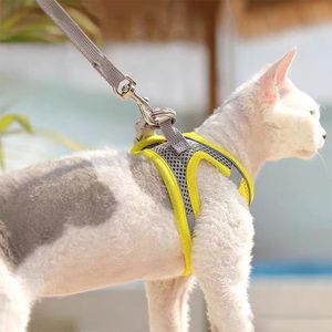 Leads Nouveau harnais pour chat ensemble de laisse réglable collier de chaton gilet petit collier de chien harnais animal de compagnie laisse de poitrine harnais pour chiot accessoires pour chats