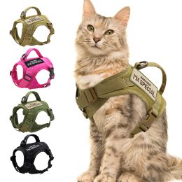 Dirige el chaleco militar táctico gato ajustable arnés de gato de cachorro ajustable con parches de pegatinas para perros pequeños gatos tracción táctica