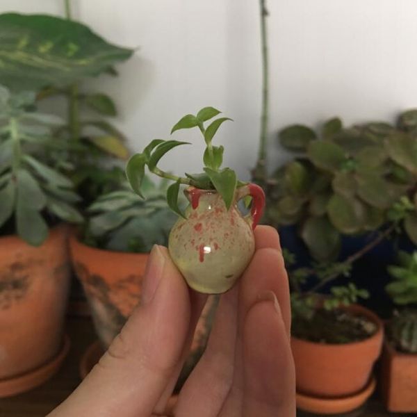 Maceta para plántulas de hojas, maceta semiesmaltada para flores con pulgar, mini maceta creativa de cerámica con bolsillo para flores, decoración del hogar