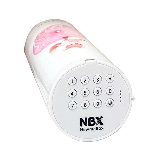 Jouets d'apprentissage NBX Coded Lock Mot de passe Trousse Lapin Chat Porte-stylo Grande capacité Boîte de papeterie Bureau à domicile École Rangement Crayon