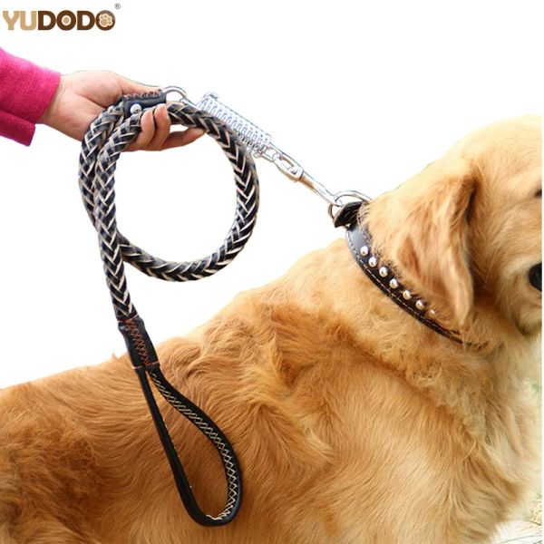 Correas Correa para Perros Trenzada de Cuero de 120 cm, Mango Acolchado Negro, Correas para Caminar y Correr para Mascotas con amortiguador de Resorte para Perros medianos y Grandes, Labrador