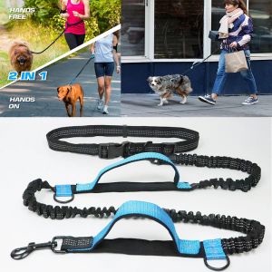 Laisses Poignée confortable chien laisse corde nouvelle réfléchissante ceinture de plomb pour animaux de compagnie petit moyen grand sécurité formation chien lanière chiens produit