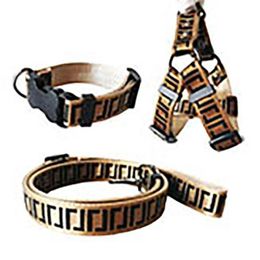 Riemen Halsbanden Set Designer Hondenriem Veiligheidsgordels Huisdier Kraag En Huisdieren Ketting Met Voor Kleine Middelgrote Honden Cat260q