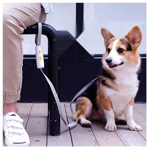 Riemen Hondenriem Alle maten honden Van toepassing zijn Halsbandaccessoires Hondentuig Multiscene toepassing Kleine hondentuigjes Hondenbenodigdheden