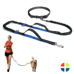 Laisses Laisses de course pour chiens mains libres Jogging tirer plomb accessoires pour chiens laisse pour grands chiens corde de Traction fournitures pour chiens de compagnie